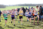 Boys under-13s 2019 British Athletics Inter Counties Cross Country, Prestwood Hall, Loughborough. Photo:  David T. Hewitson/Sports for All Pics